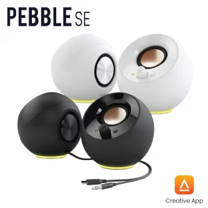 Pebble SE